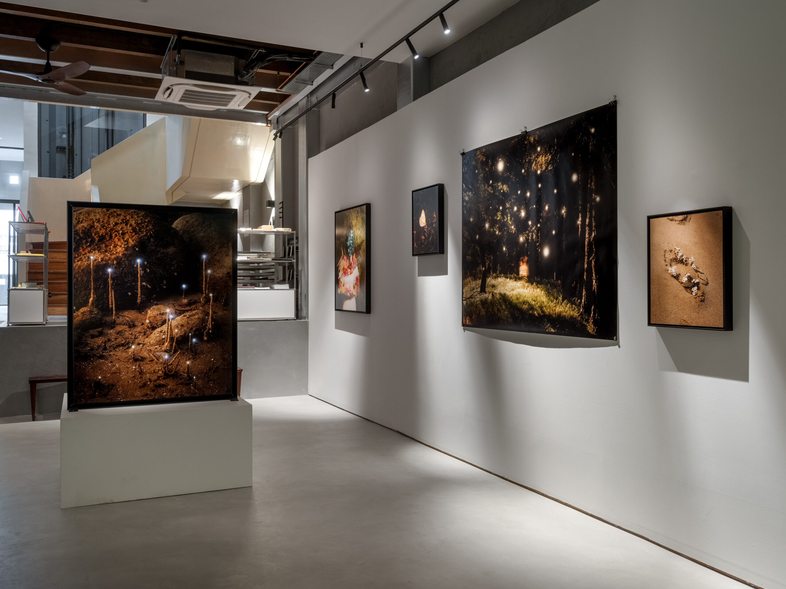 Book of Days – Alvin Ng (Image courtesy of the Artist)