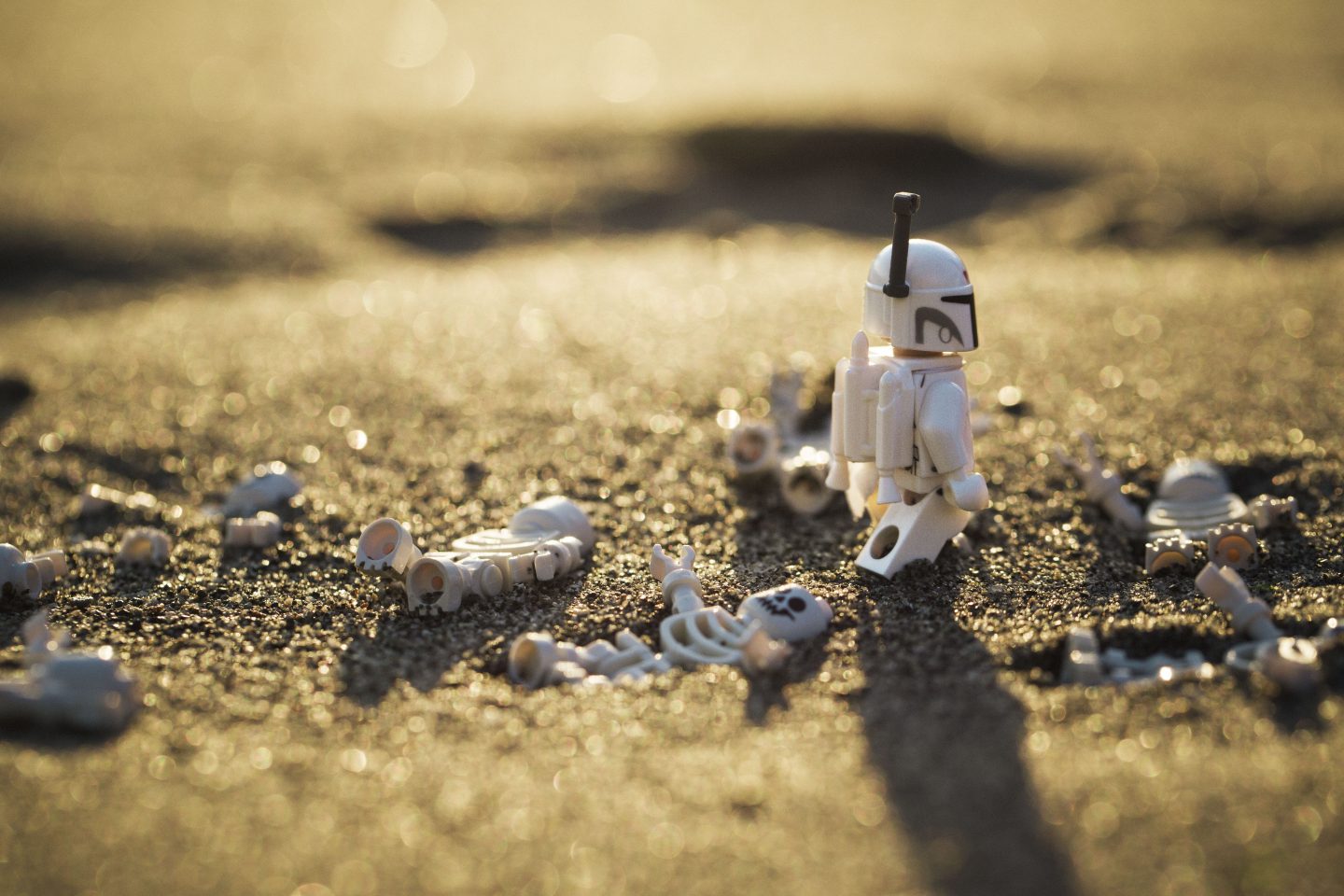 TOY PHOTOGRAPHY (NAC-AEP)